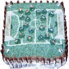  Football Pitch Cake 